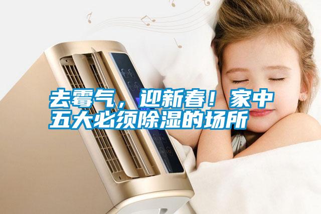 去霉氣，迎新春！家中五大必須除濕的場(chǎng)所