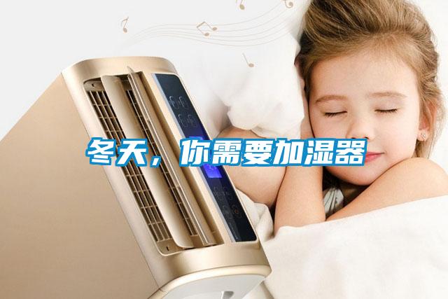 冬天，你需要加濕器