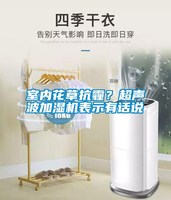 室內(nèi)花草抗霾？超聲波加濕機表示有話說