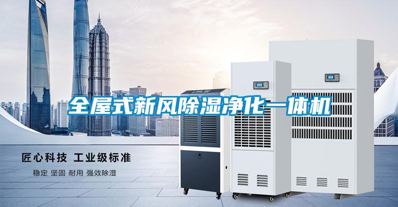 全屋式新風(fēng)除濕凈化一體機(jī)
