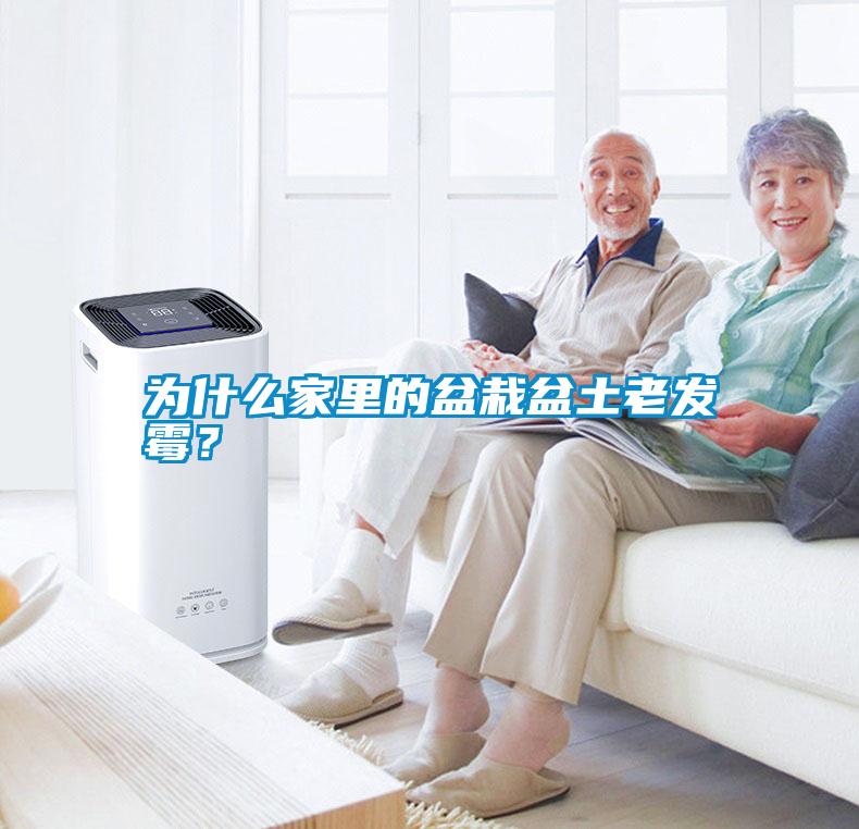 為什么家里的盆栽盆土老發(fā)霉？