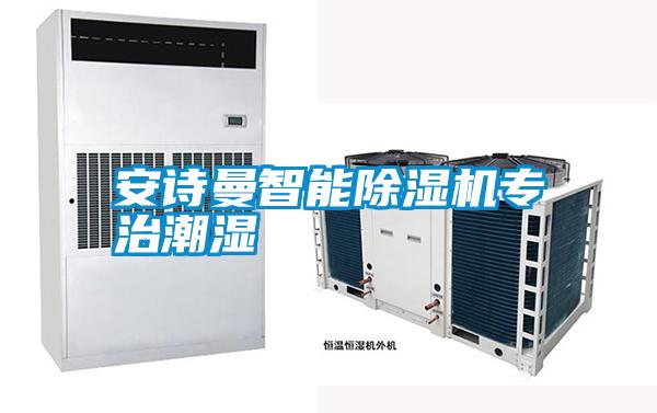 安詩(shī)曼智能除濕機(jī)專治潮濕