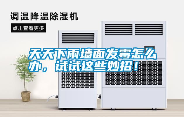 天天下雨墻面發(fā)霉怎么辦，試試這些妙招！