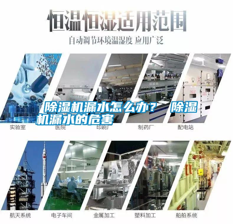  除濕機(jī)漏水怎么辦？ 除濕機(jī)漏水的危害