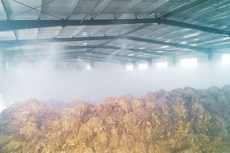 提升煙葉加工質(zhì)量，高效回潮很重要