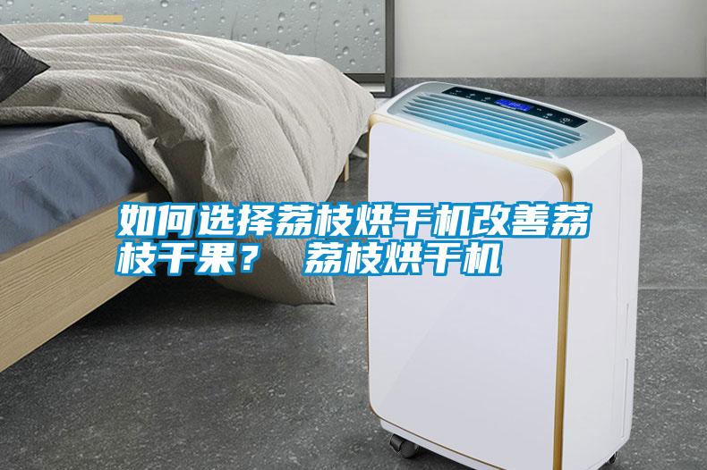 如何選擇荔枝烘干機(jī)改善荔枝干果？ 荔枝烘干機(jī)