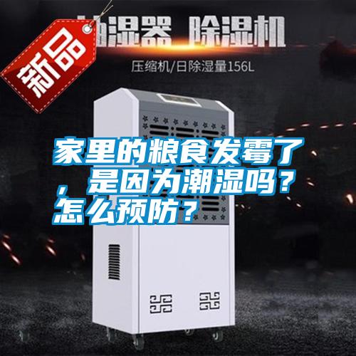 家里的糧食發(fā)霉了，是因為潮濕嗎？怎么預(yù)防？