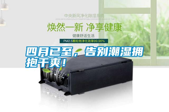 四月已至，告別潮濕擁抱干爽！