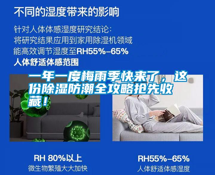 一年一度梅雨季快來了，這份除濕防潮全攻略搶先收藏！