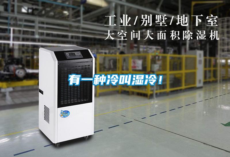 有一種冷叫濕冷！