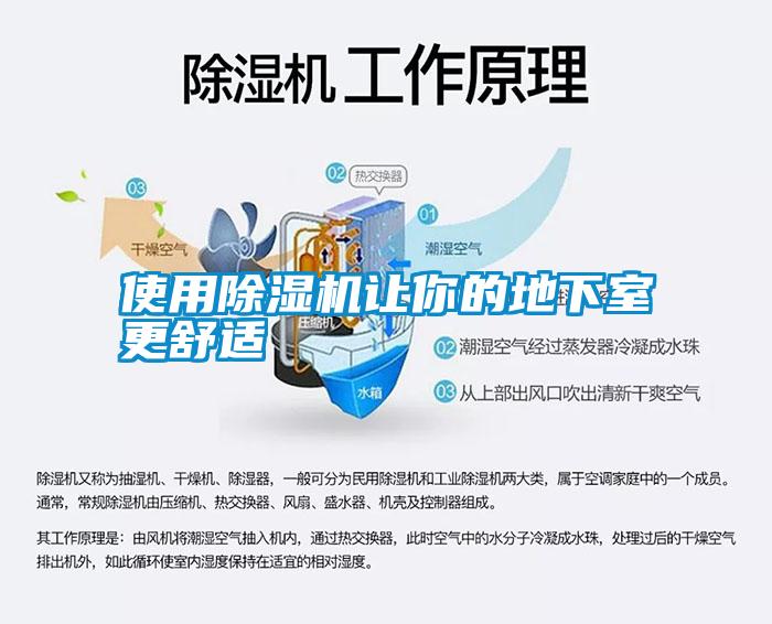 使用除濕機(jī)讓你的地下室更舒適