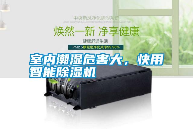 室內(nèi)潮濕危害大，快用智能除濕機