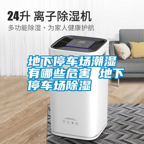 地下停車場(chǎng)潮濕有哪些危害 地下停車場(chǎng)除濕