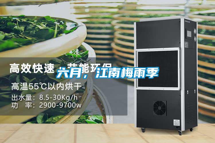 六月，江南梅雨季