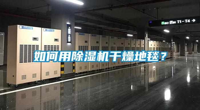 如何用除濕機(jī)干燥地毯？