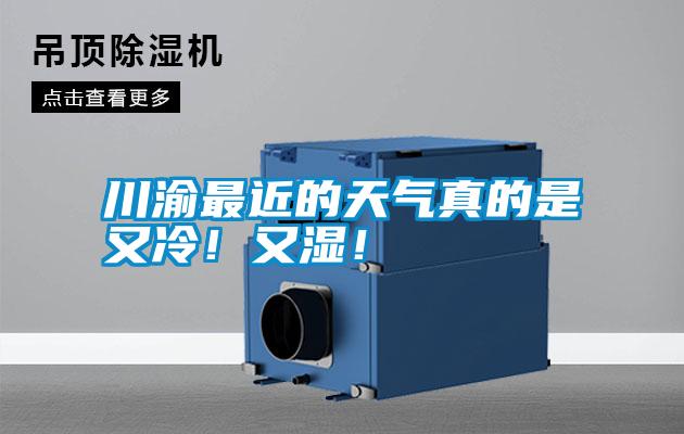 川渝最近的天氣真的是又冷！又濕！