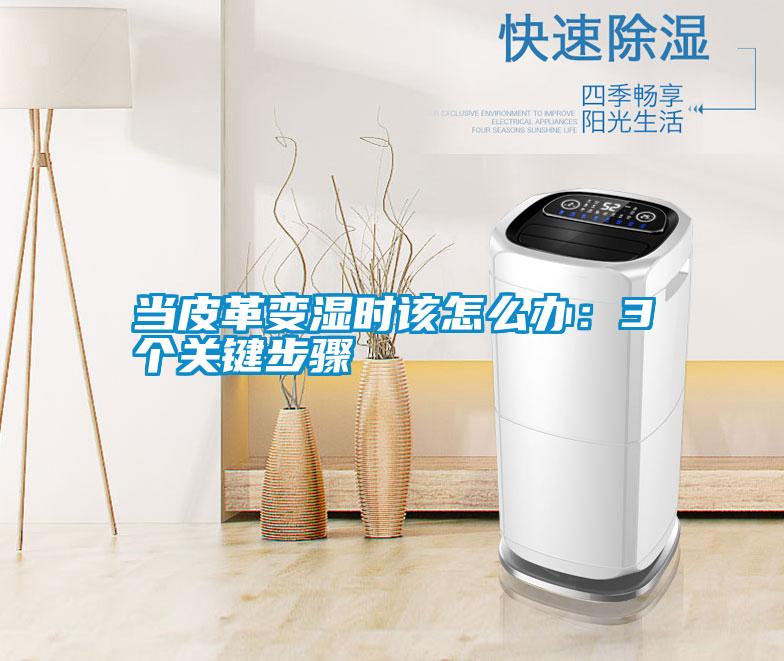 當(dāng)皮革變濕時(shí)該怎么辦：3個關(guān)鍵步驟