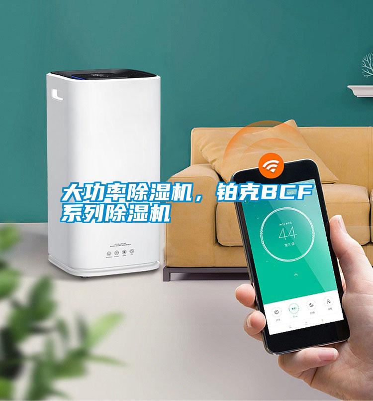 大功率除濕機(jī)，鉑克BCF系列除濕機(jī)