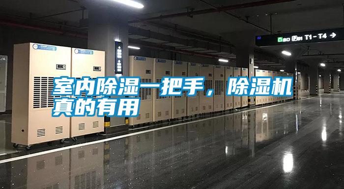 室內除濕一把手，除濕機真的有用