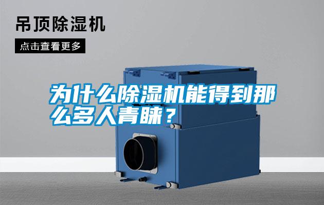 為什么除濕機(jī)能得到那么多人青睞？