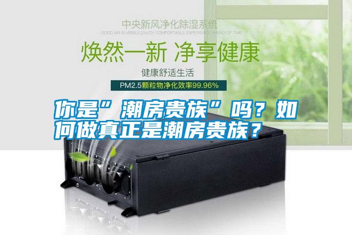 你是”潮房貴族”嗎？如何做真正是潮房貴族？