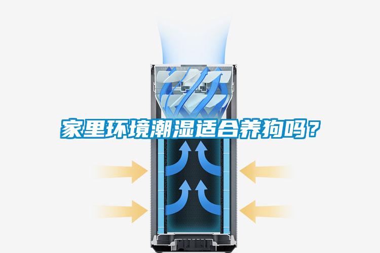 家里環(huán)境潮濕適合養(yǎng)狗嗎？