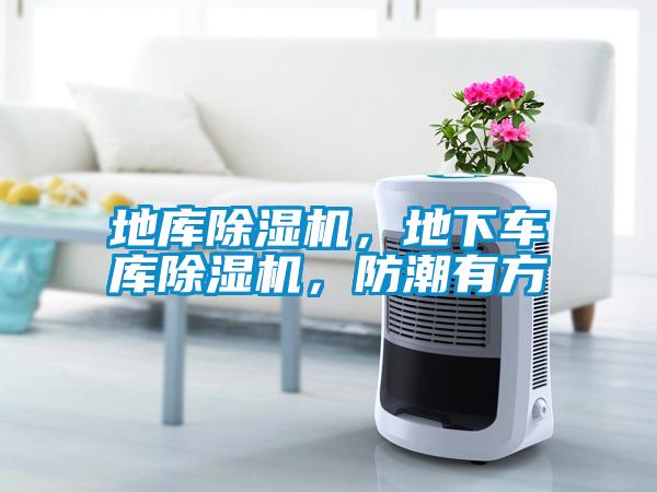 地庫除濕機(jī)，地下車庫除濕機(jī)，防潮有方