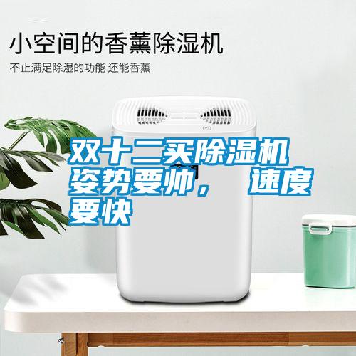雙十二買(mǎi)除濕機(jī)姿勢(shì)要帥， 速度要快