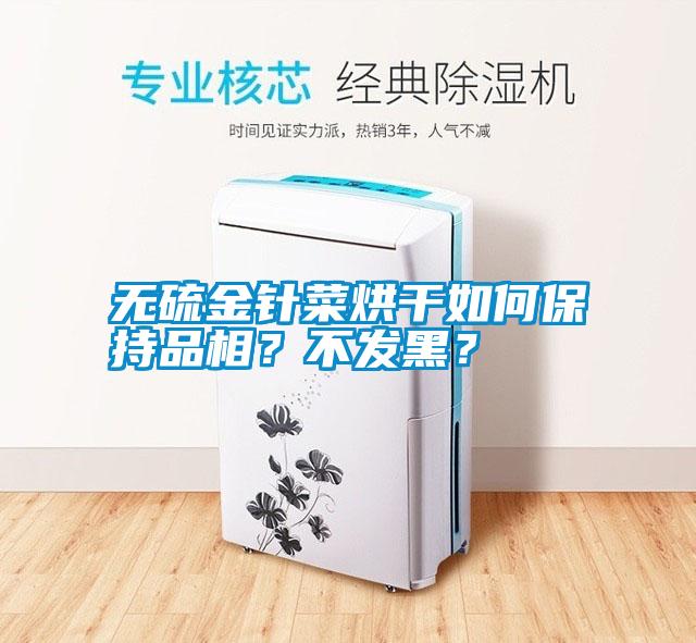 無硫金針菜烘干如何保持品相？不發(fā)黑？