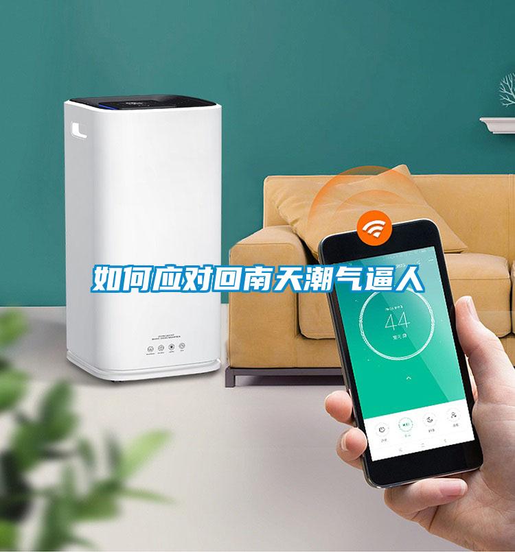 如何應(yīng)對回南天潮氣逼人