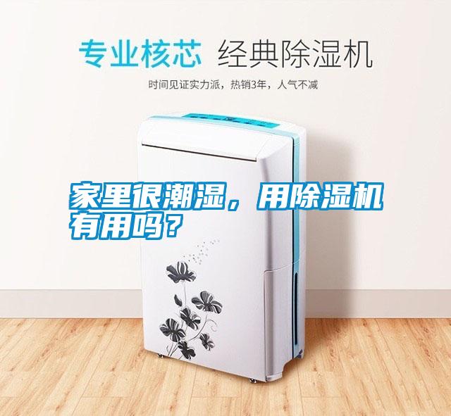 家里很潮濕，用除濕機(jī)有用嗎？