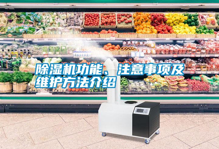 除濕機(jī)功能、注意事項(xiàng)及維護(hù)方法介紹