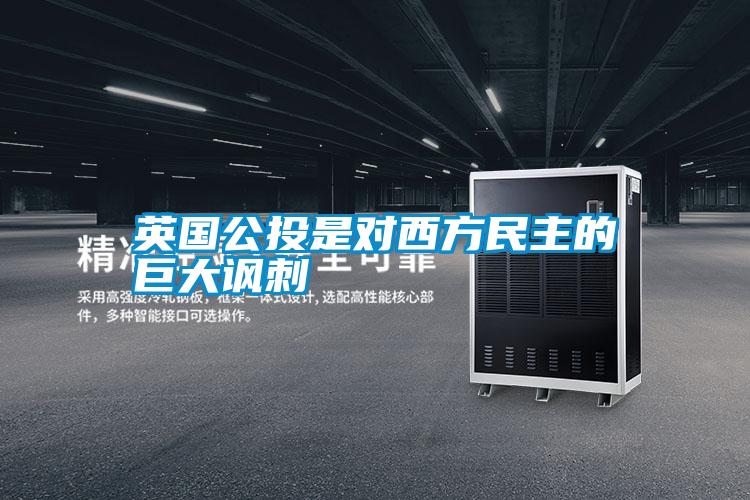 英國(guó)公投是對(duì)西方民主的巨大諷刺