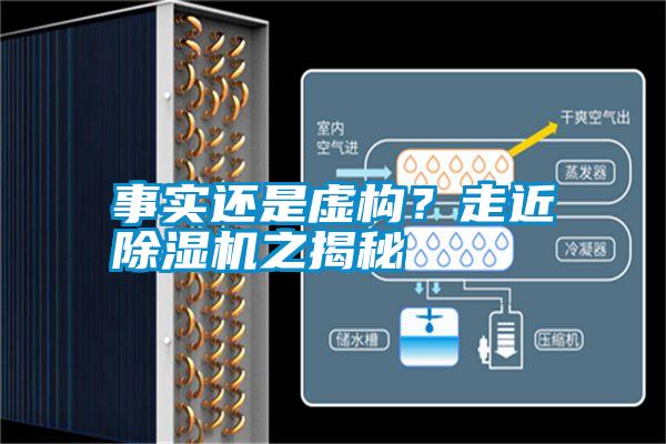 事實(shí)還是虛構(gòu)？走近除濕機(jī)之揭秘