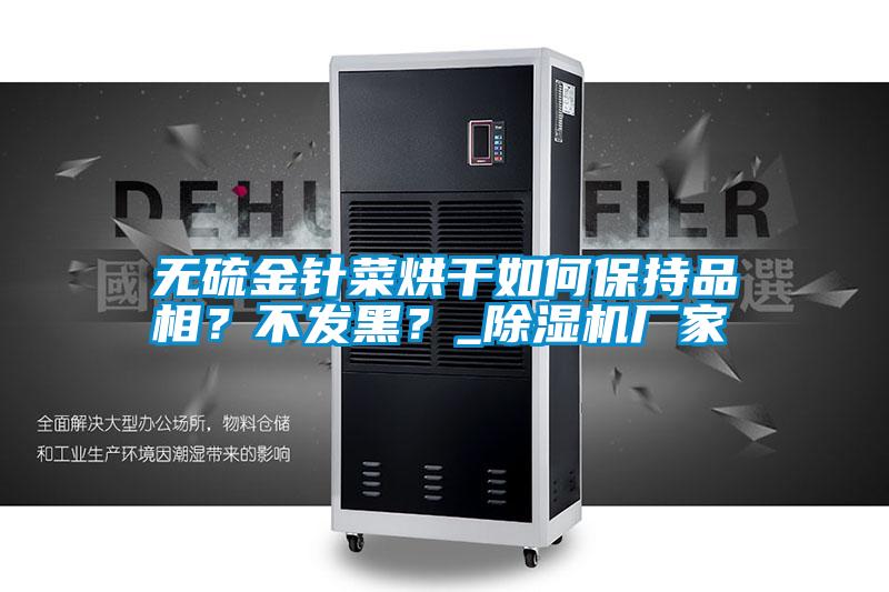 無硫金針菜烘干如何保持品相？不發(fā)黑？_除濕機廠家