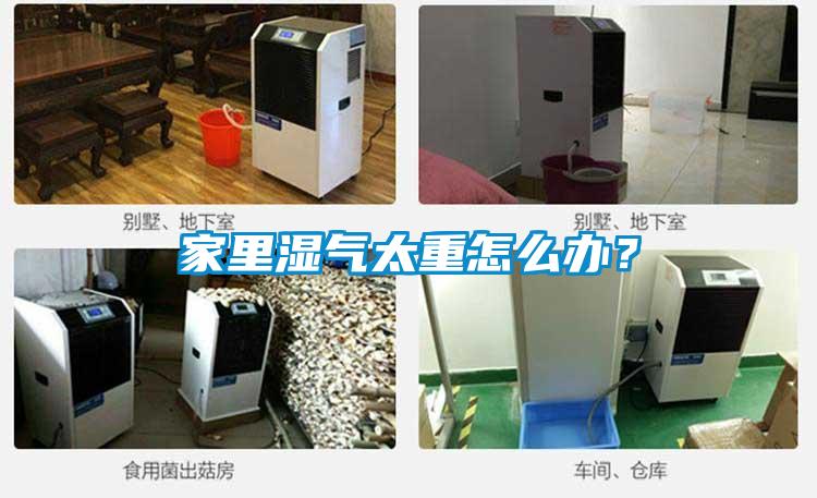 家里濕氣太重怎么辦？