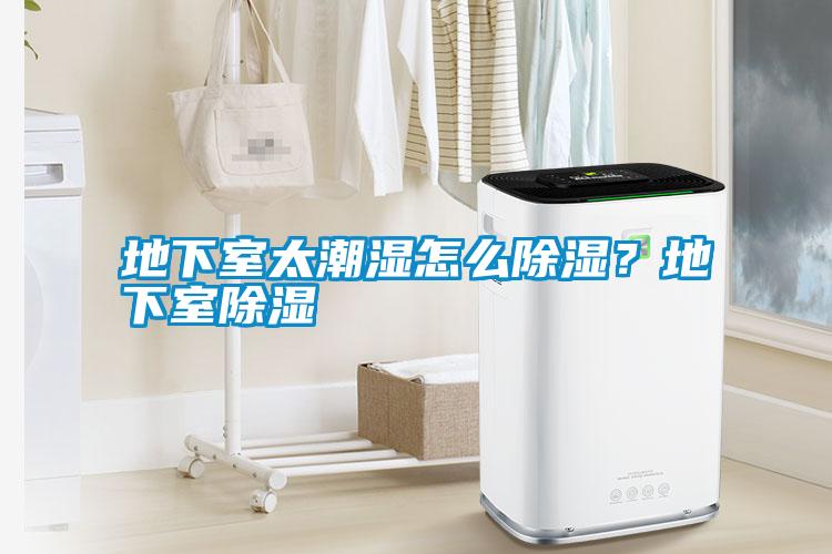 地下室太潮濕怎么除濕？地下室除濕