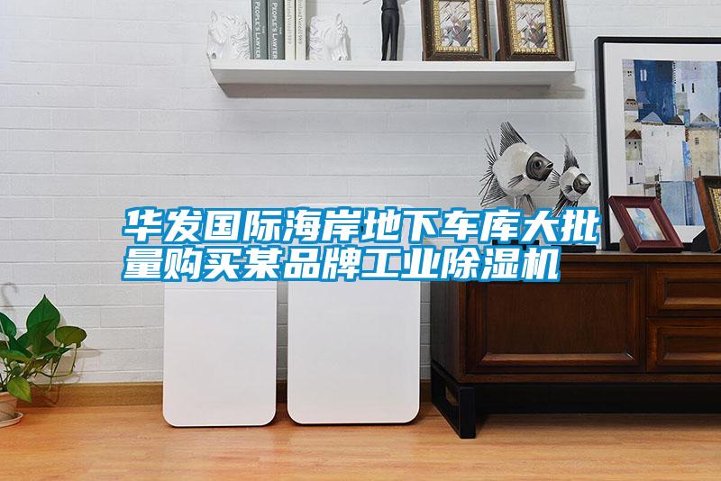 華發(fā)國際海岸地下車庫大批量購買某品牌工業(yè)除濕機(jī)