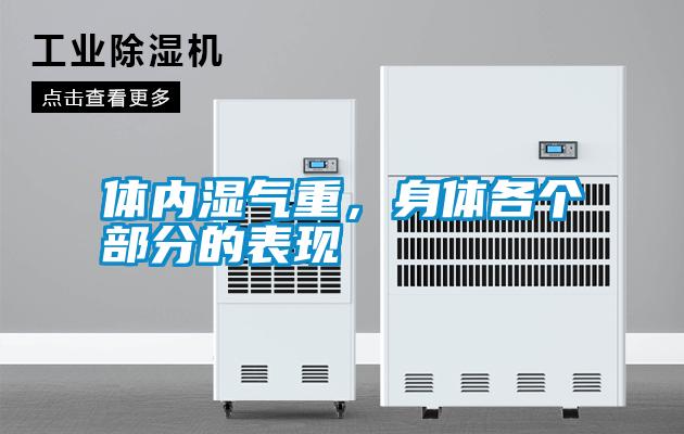 體內濕氣重，身體各個部分的表現(xiàn)