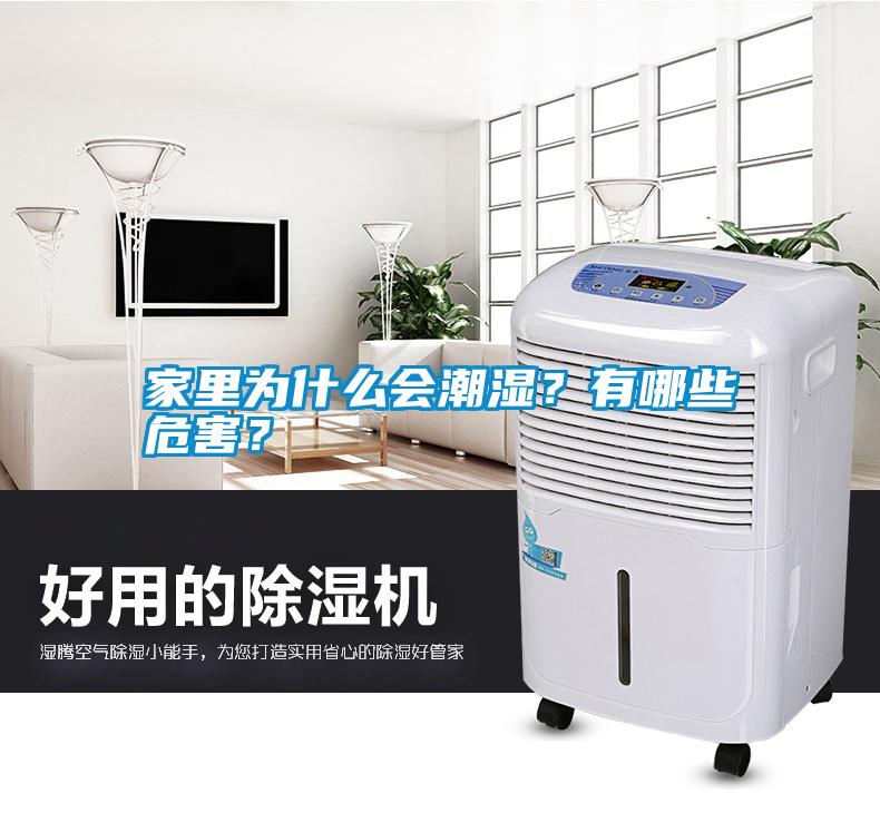 家里為什么會(huì)潮濕？有哪些危害？