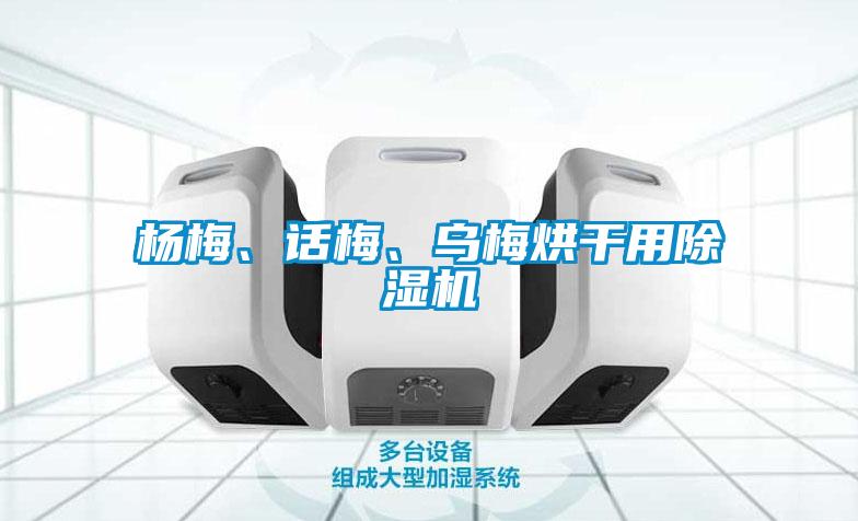 楊梅、話梅、烏梅烘干用除濕機