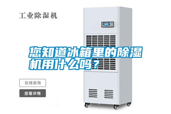 您知道冰箱里的除濕機用什么嗎？