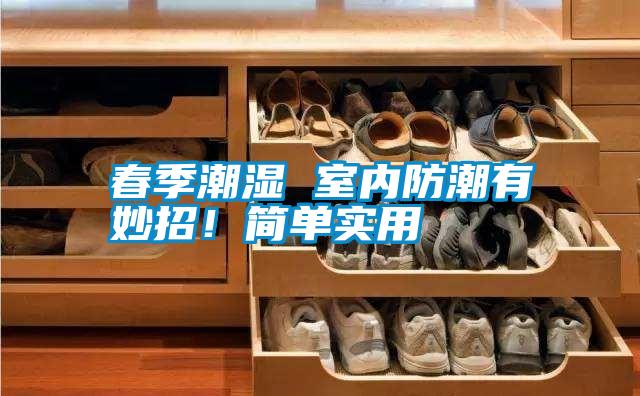 春季潮濕 室內(nèi)防潮有妙招！簡(jiǎn)單實(shí)用