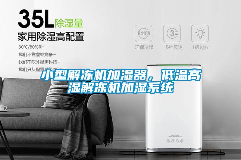 小型解凍機加濕器，低溫高濕解凍機加濕系統(tǒng)