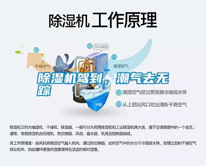 除濕機(jī)駕到，潮氣去無蹤