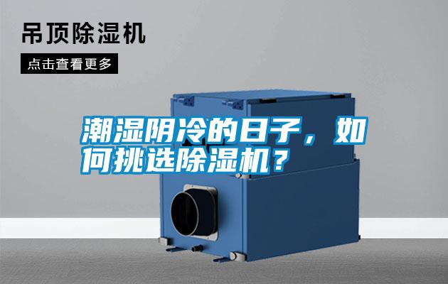 潮濕陰冷的日子，如何挑選除濕機(jī)？