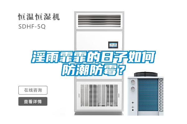 淫雨霏霏的日子如何防潮防霉？