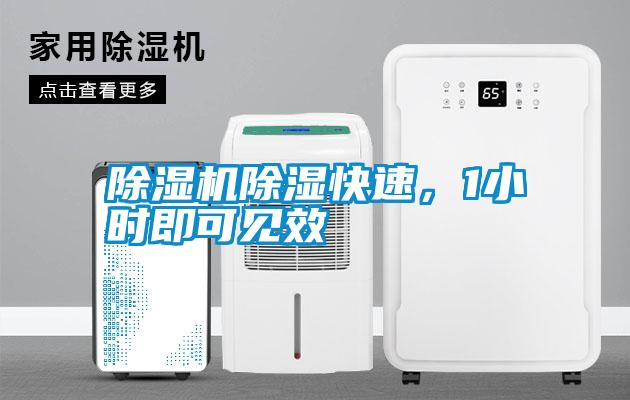除濕機除濕快速，1小時即可見效