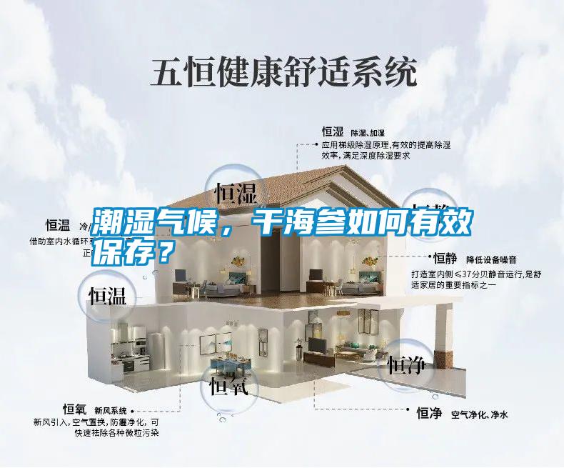 潮濕氣候，干海參如何有效保存？