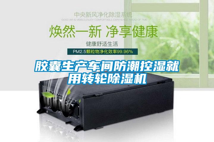 膠囊生產(chǎn)車間防潮控濕就用轉(zhuǎn)輪除濕機